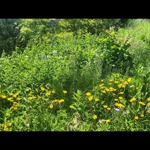 Meet your Posher, Ami